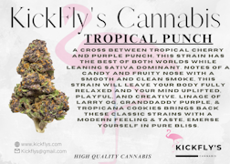 Kickfly | Tropical Punch | 3.5g