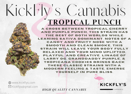 Kickfly Cannabis - Kickfly | Tropical Punch | 3.5g