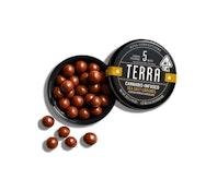 Kiva Terra Bites - Milk Chocolate Sea Salt Caramel 100mg
