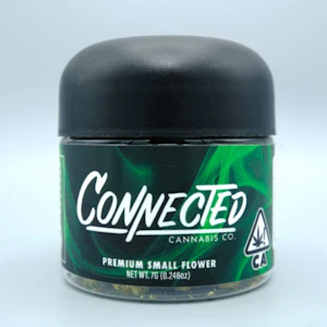 Connected - Gelato 41 7g Jar - Connected