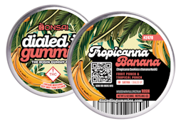 Dialed In - Gummies - Tropicanna Banana (S) - 100mg