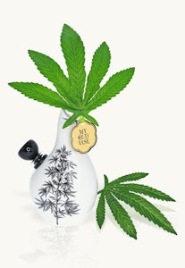 MY BUD VASE - My Bud Vase - Bong - Love Bud