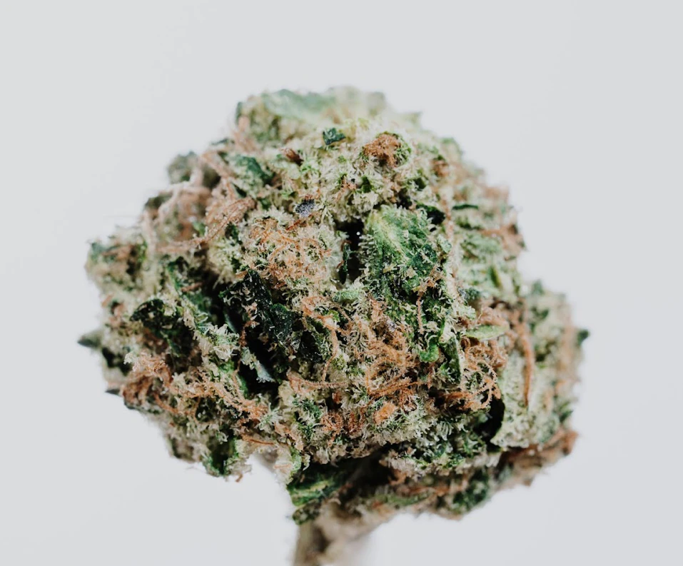 420 Kingdom - Cherry Chem - 7g (1/4oz) - 420K Main Image