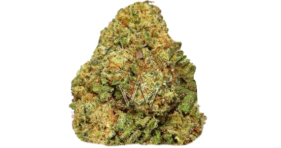 CIZI - CIZI - Paris OG - 7g