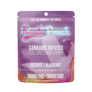 Kushy Punch - 90mg 2:1 CBD:THC Blueberry Recover Gummies -  Kushy Punch