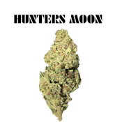 Elevated - Hunter's Moon