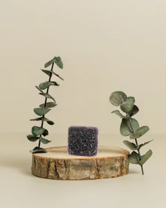 District Cannabis - Blackberry Troche | 5THC 2.5CBD 2.5CBN | Edible | 100mg | District Cannabis