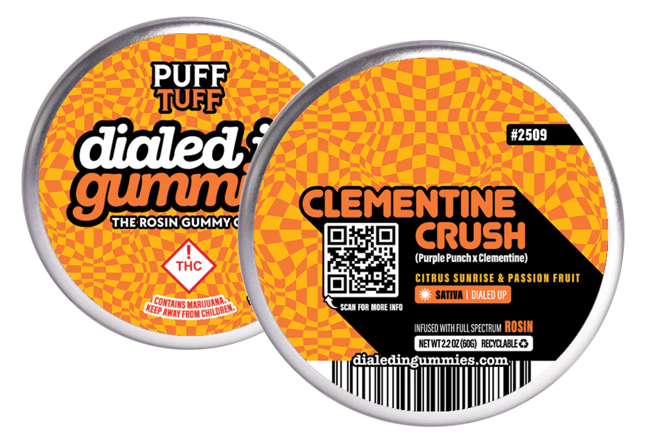 Dialed In - Dialed In - Gummies - Clementine Crush (S) - 100mg Main Image