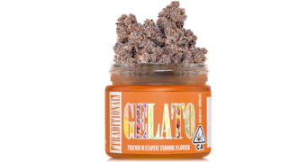 Traditional - Gelato - 3.5g