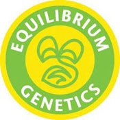 Equilibrium Ice Cream Cake Clone ND