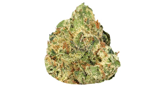 ASTRONAUTS - Astronauts - Space Glue - 3.5g