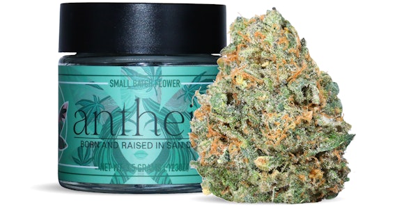 Antheia - Antheia - West End - 3.5g