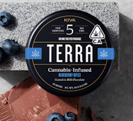 Blueberry - Terra Bites - 100mg