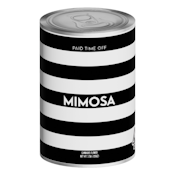 PTO - Mimosa 3.5g