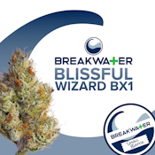 [REC] Breakwater | Blissful Wizard Bx1 | 7g Flower