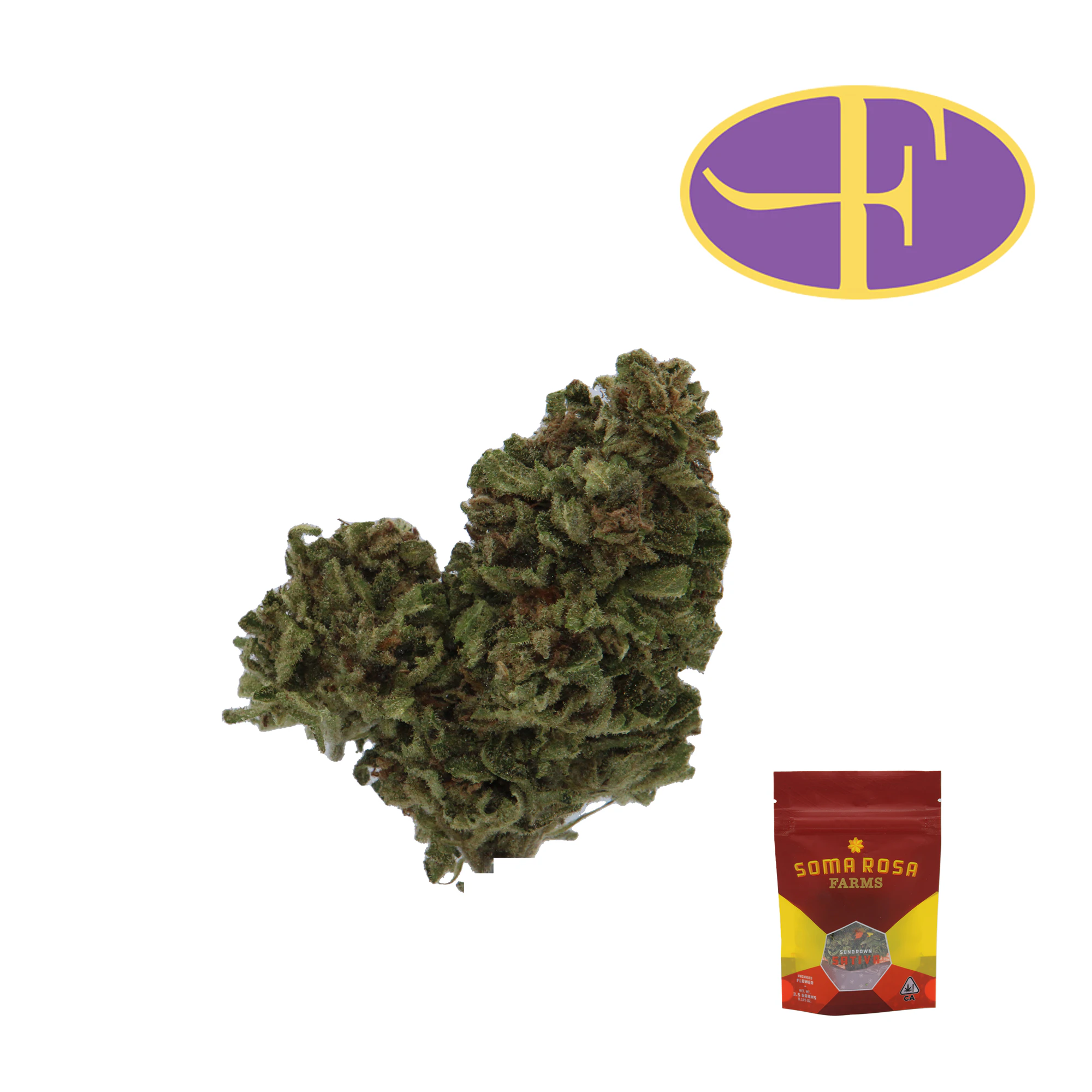 Soma Rosa - Lemon Haze x Skunk #1 Main Image