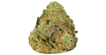 Dime Bag - Grease Monkey - 3.5g