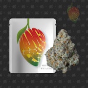 Seed Junky Genetics - 3.5g - Mango Fruz
