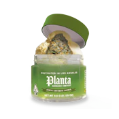 Planta - Flower - Indoor - Gelato 41- 3.5g