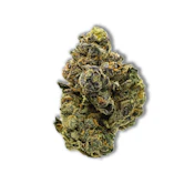 Common Citizen - Banana Orange Pineapple Pre-Packaged 3.5g