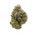 Product Preview Image 1