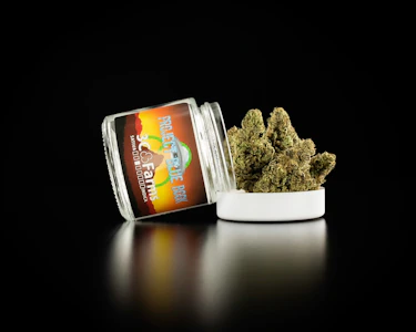 3C FARMS - 3C Farms - Project Blue Book - 1/8th