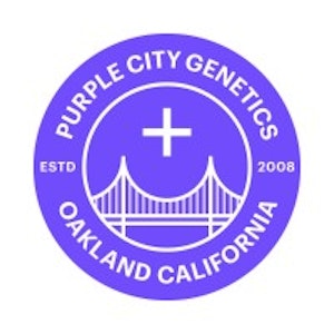 Jon Woo - 6pk - Feminized Seeds - Purple City Genetics