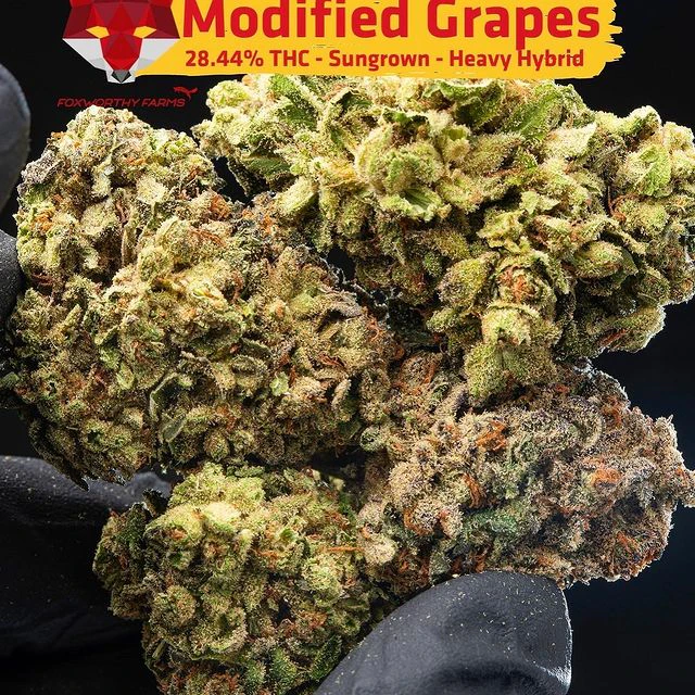 FOXWORTHY FARMS - Modified Grapes (1/2oz) Main Image