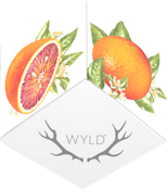 Wyld-Blood Orange 1:1 THC:CBC 100mg THC: 10mg CBC Gummies-Sativa Enhanced