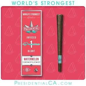 PRESIDENTIAL - Presidential Watermelon 1g Preroll