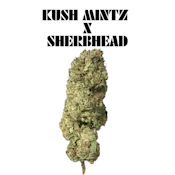 Elevated - Kush Mints X Sherbhead