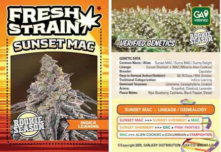 FRESH STRAIN - FRESH STRAIN | SUNSET MAC | FLOWER | 3.5G