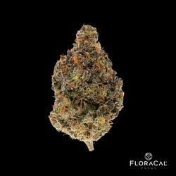 FloraCal - FloraCal Julius Flower (H) 3.5g Main Image