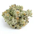 Product Preview Image 2