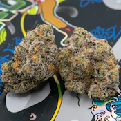 TEDS BUDZ Blue Shamu 3.5G