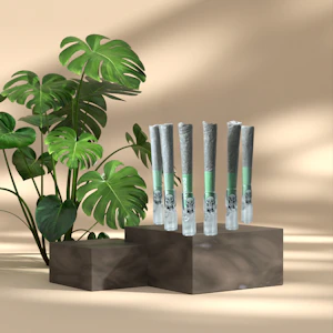 Jaywalker Mini Pre-rolls - MOTA | Jaywalkers | Preroll - Flight Pack