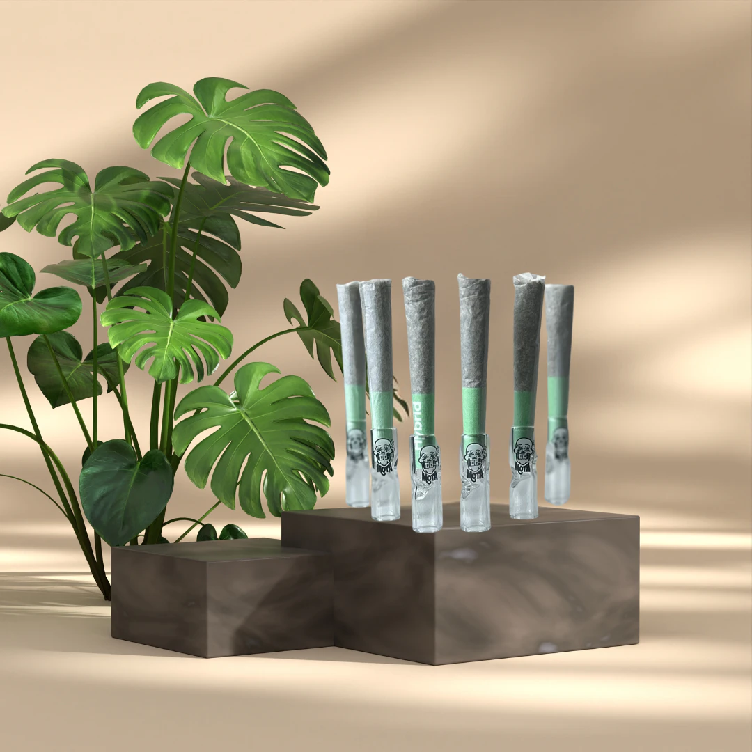 Jaywalker Mini Pre-rolls - MOTA | Jaywalkers | Preroll - Flight Pack Main Image