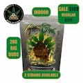 Grandaddy Purple (Indoor Bigs) 28g - Limited Time Special