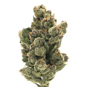 Quiet Kings - Pink Sunset - (I) 28g
