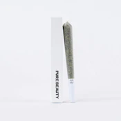 Gush Mints 1:1 [CBD] 1g Pre-roll Pure Beauty