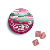 CAMINO - Edible - Watermelon Spritz - Sour Gummies - 10PK -100MG