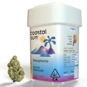 Coastal Sun Flower 7g - Bleuphoria 29%