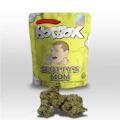 HOTBOX | Scotty's Mom Indica (3.5g or 1/8th) Indoor Flower