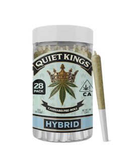 QUIET KINGS - Quiet Kings | White Buffalo | Pre-Rolls | 28pk