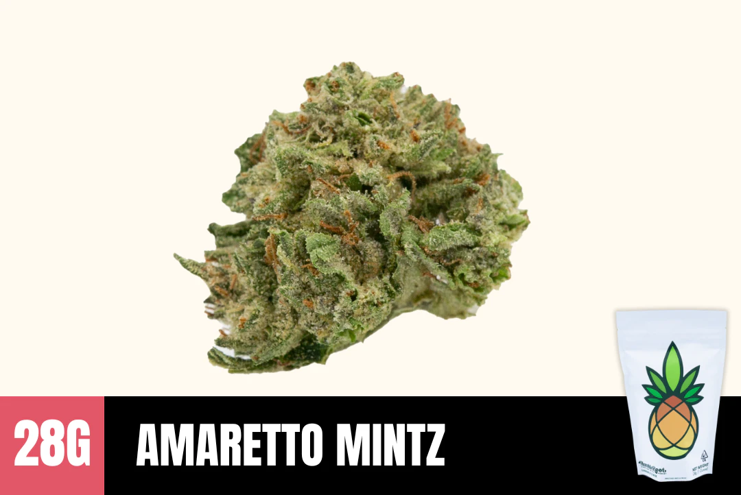 Humble Root - 28g Amaretto Mintz (Greenhouse Smalls) - Humble Root Main Image