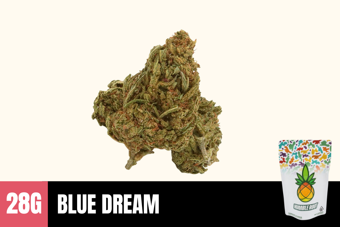 28g Blue Dream (Greenhouse) - Humble Root picture