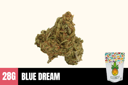 Humble Root - 28g Blue Dream (Greenhouse) - Humble Root