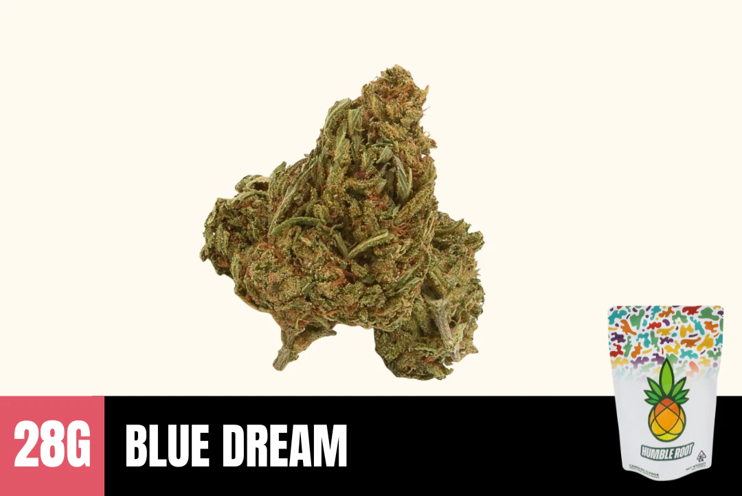 Humble Root - 28g Blue Dream (Greenhouse) - Humble Root Main Image