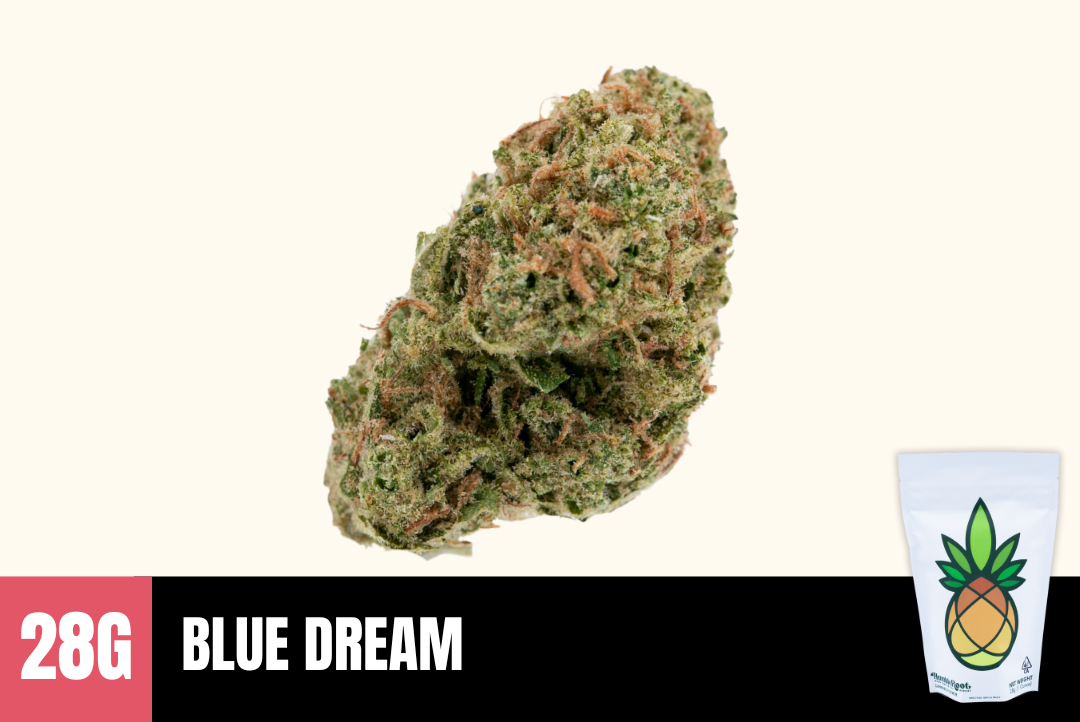 28g Blue Dream (Greenhouse) - Humble Root picture