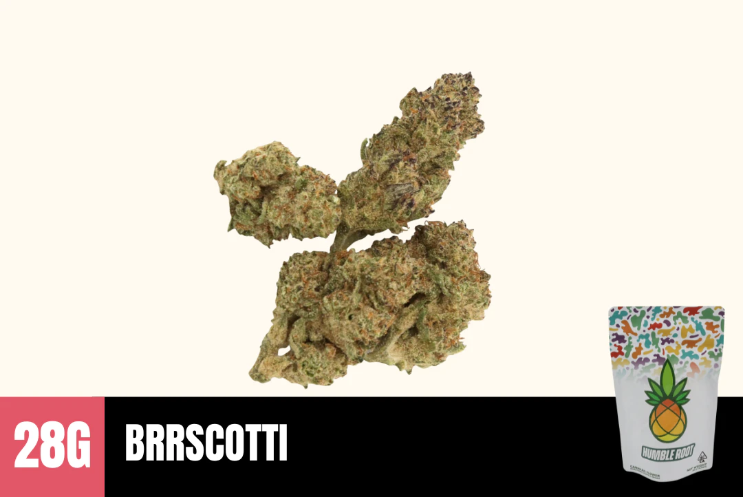 Humble Root - 28g Brrscotti (Greenhouse) - Humble Root Main Image